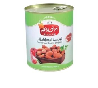 فول مدمس حبة كبيرة 450غ